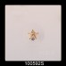 Sheriff Star